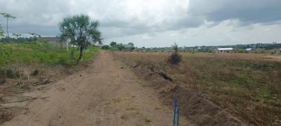 Plots for sale at Vikindu, Pwani