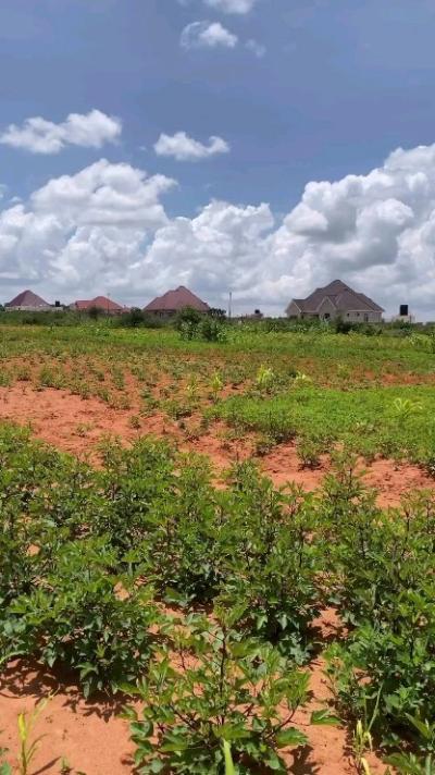 Plot for sale at Nzuguni, Dodoma