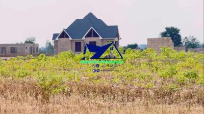 Plots for sale at Kisesa, Mwanza