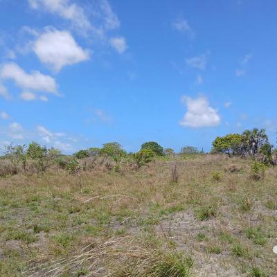 Plots for sale at Kigamboni, Dar Es Salaam