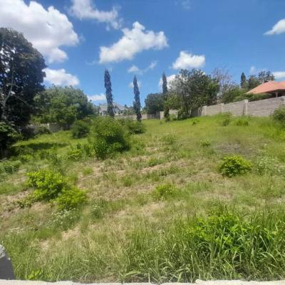 Plot for sale at Mbezi, Dar Es Salaam