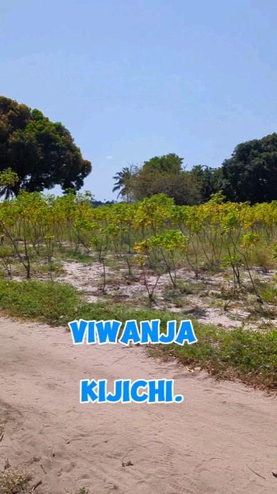 Plots for sale at Kijichi, Dar Es Salaam