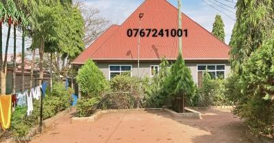 3 Bedrooms House for Rent at Mkolani, Mwanza