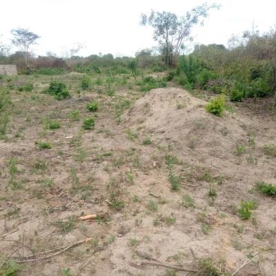 Plots for sale at Mlandizi, Pwani