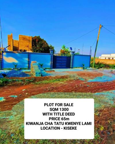 Plot for sale at Kiseke, Mwanza