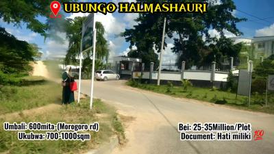 Plots for sale at Mbezi, Dar Es Salaam