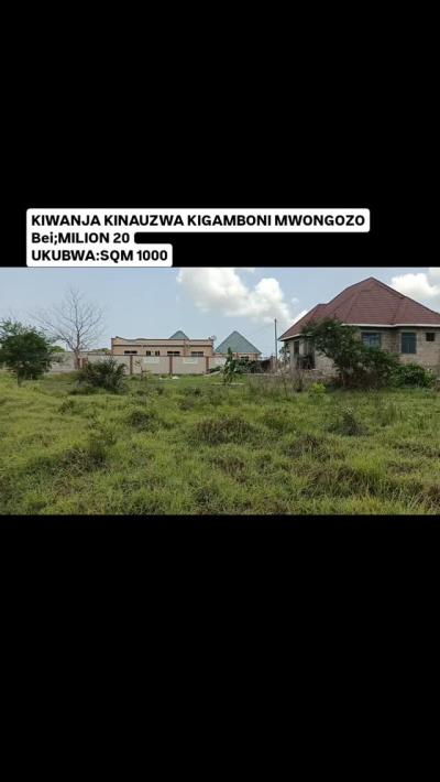 Plot for sale at Kigamboni, Dar Es Salaam