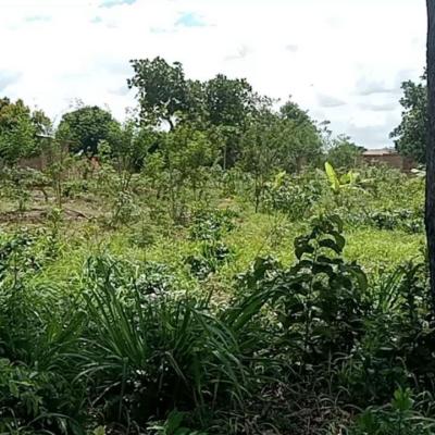 Plot for sale at Heka, Singida