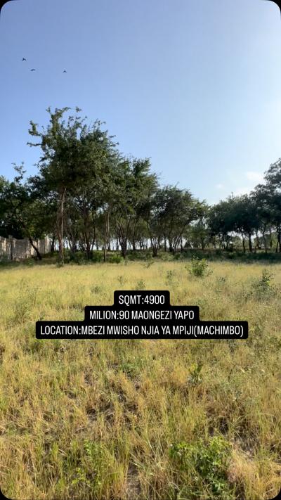 Plot for sale at Mbezi, Dar Es Salaam