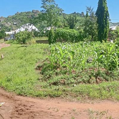 Plot for sale at Buhongwa, Mwanza