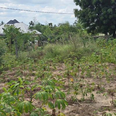 Plot for sale at Goba, Dar Es Salaam