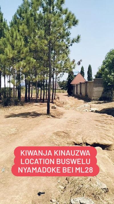 Plot for sale at Buswelu, Mwanza