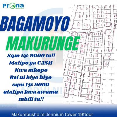 Plots for sale at Bagamoyo, Mbeya