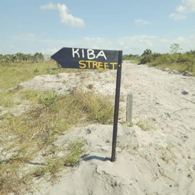 Plots for sale at Raha Leo, Lindi