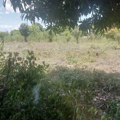 Plots for sale at Matumbi, Ruvuma