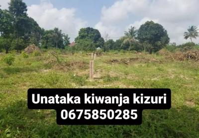 Plots for sale at Kiluvya, Pwani