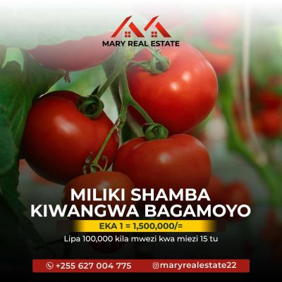 Farms for sale at Bagamoyo, Mbeya