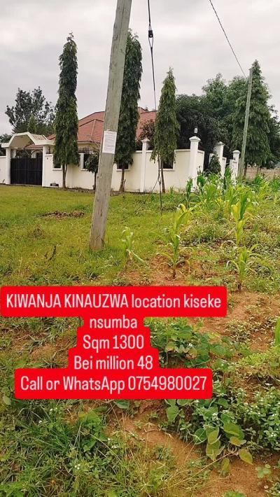 Plot for sale at Kiseke, Mwanza