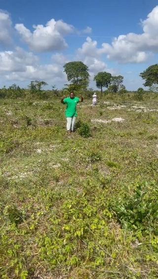 Plot for sale at Mkamba, Pwani