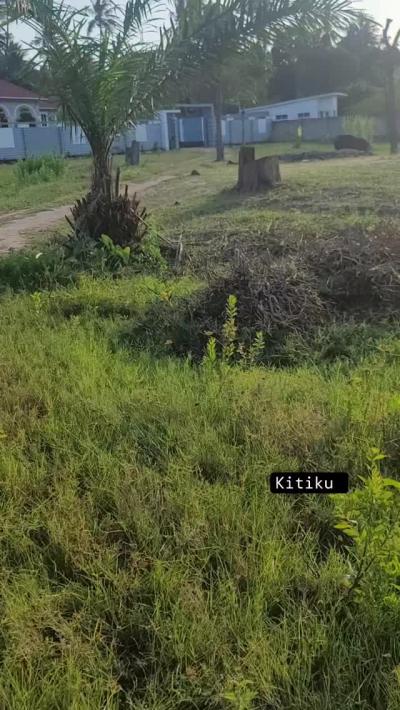 Plot for sale at Bagamoyo, Mbeya