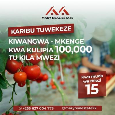 Plots for sale at Bagamoyo, Mbeya