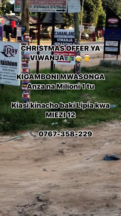 Plots for sale at Kigamboni, Dar Es Salaam