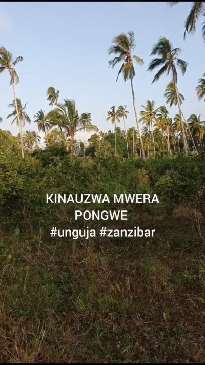 Kiwanja kinauzwa Mwera, Tanga