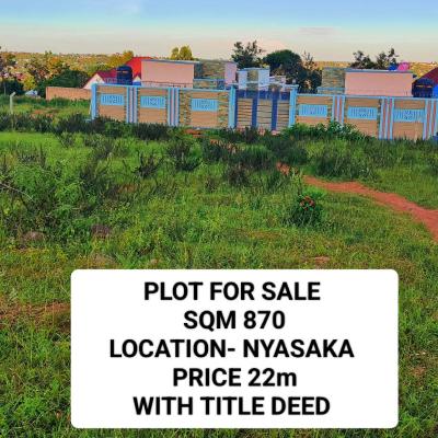 Plot for sale at Nyasaka, Mwanza