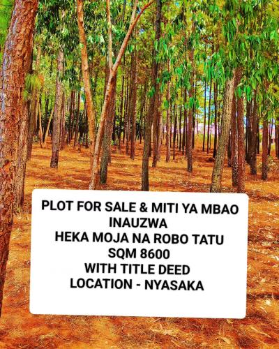 Plot for sale at Nyasaka, Mwanza