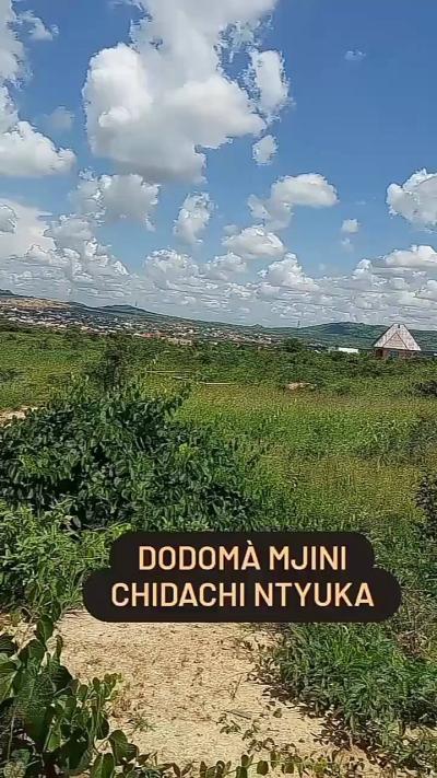 Viwanja vinauzwa Ntyuka, Dodoma