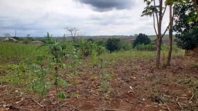 Plots for sale at Mkata, Tanga