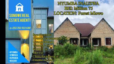 House for sale at Forest, Mbeya