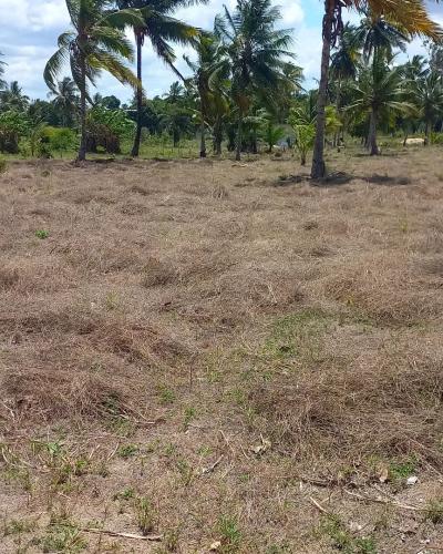 Plots for sale at Chanika, Dar Es Salaam