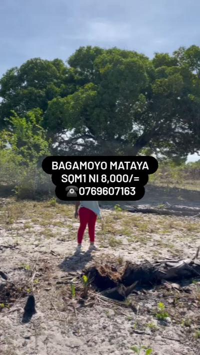 Plots for sale at Bagamoyo, Mbeya