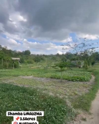 Plot for sale at Makongo, Dar Es Salaam