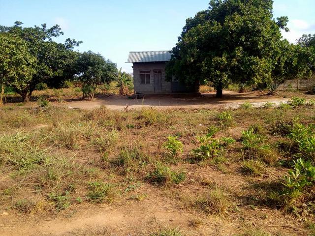 Plot for sale at Mlandizi, Kibaha, Pwani