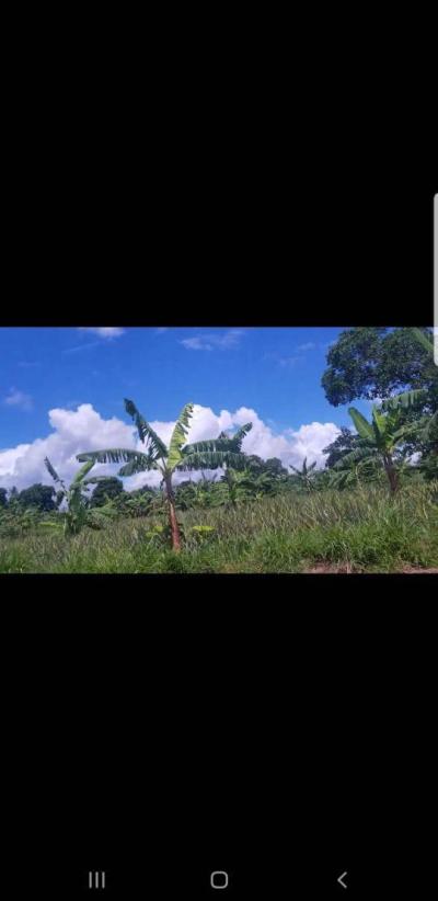 Farms for sale at Talawanda, Pwani