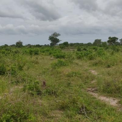 Farms for sale at Fukayosi, Pwani