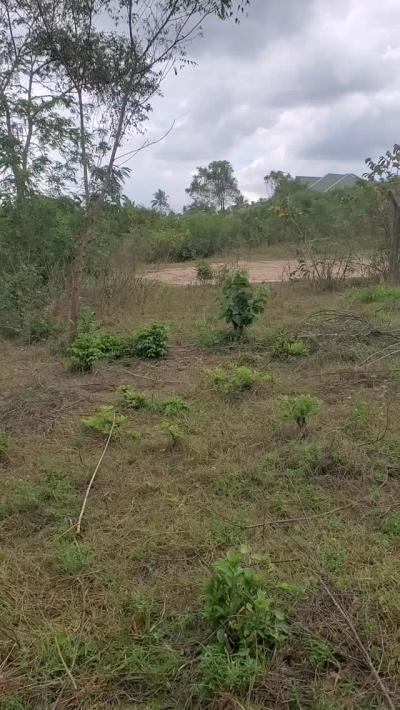 Plot for sale at Njia Panda, Kilimanjaro