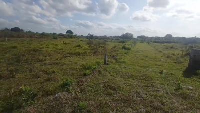 Plots for sale at Chanika, Dar Es Salaam