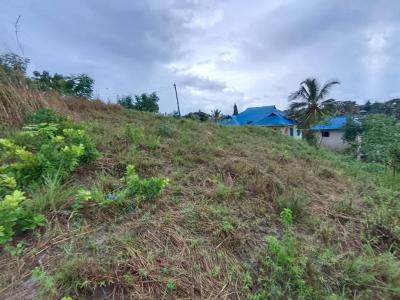 Plot for sale at Mbezi, Dar Es Salaam