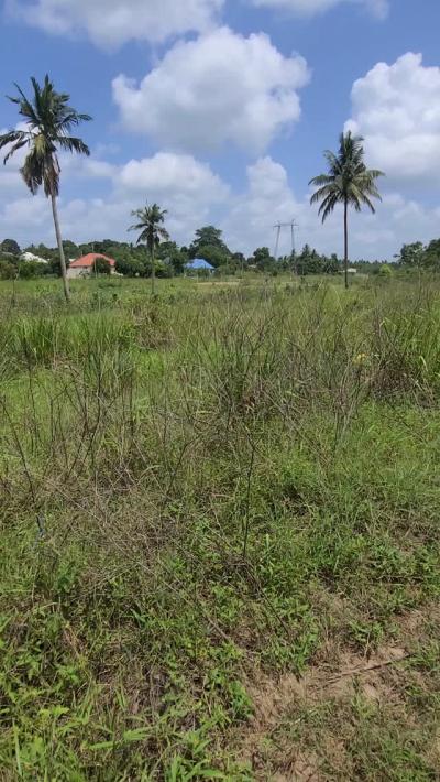 Farms for sale at Kongowe, Pwani