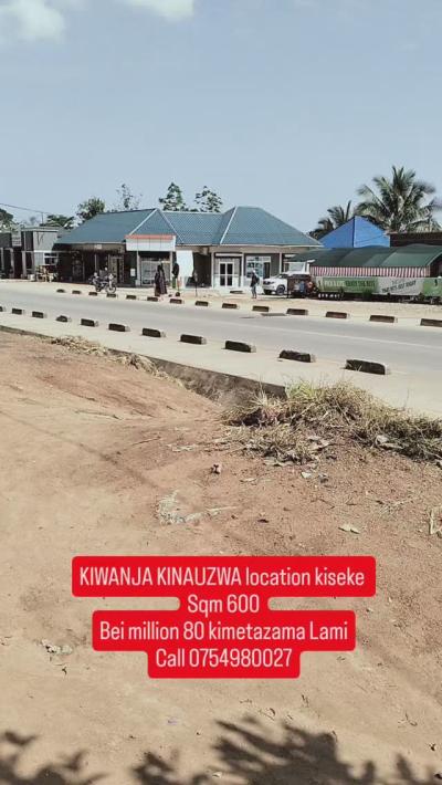 Kiwanja kinauzwa Kiseke, Mwanza