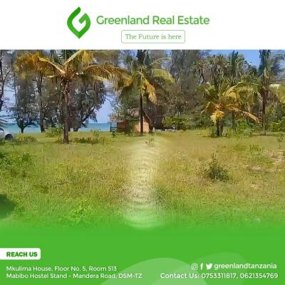 Plots for sale at Mabibo, Dar Es Salaam