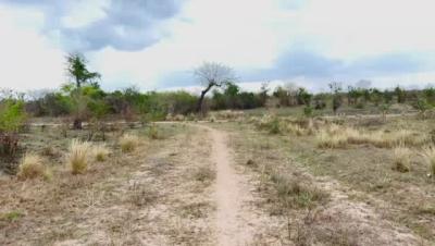 Plots for sale at Bagamoyo, Mbeya