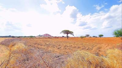 Viwanja vinauzwa Msalato, Dodoma