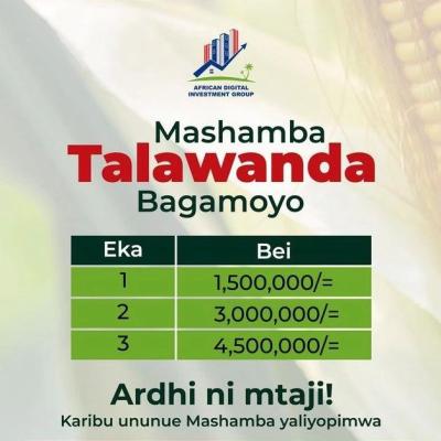 Farms for sale at Bagamoyo, Mbeya