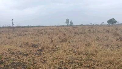 Farm for sale at Bagamoyo, Mbeya