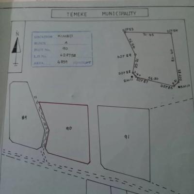 Plot for sale at Kimbiji, Dar Es Salaam