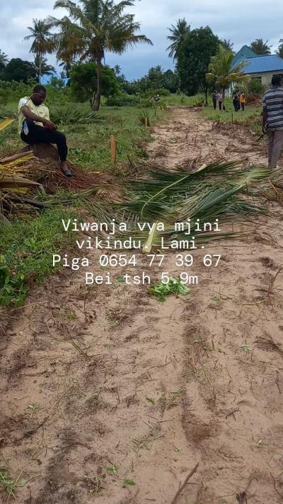 Viwanja vinauzwa Mjini, Ruvuma